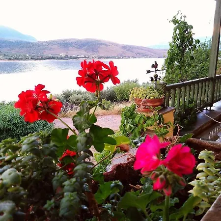 Aphrodite's Coast Retreat House! * Galaxidi