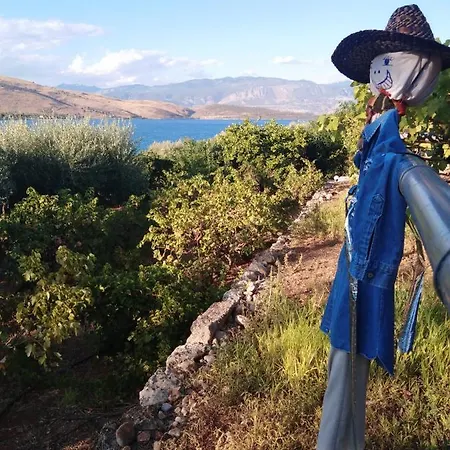 Апартаменты Aphrodite's Coast Retreat House!