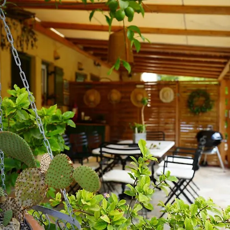 Aphrodite's Coast Retreat House! *