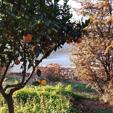 Lejlighed Aphrodite's Coast Retreat House! *